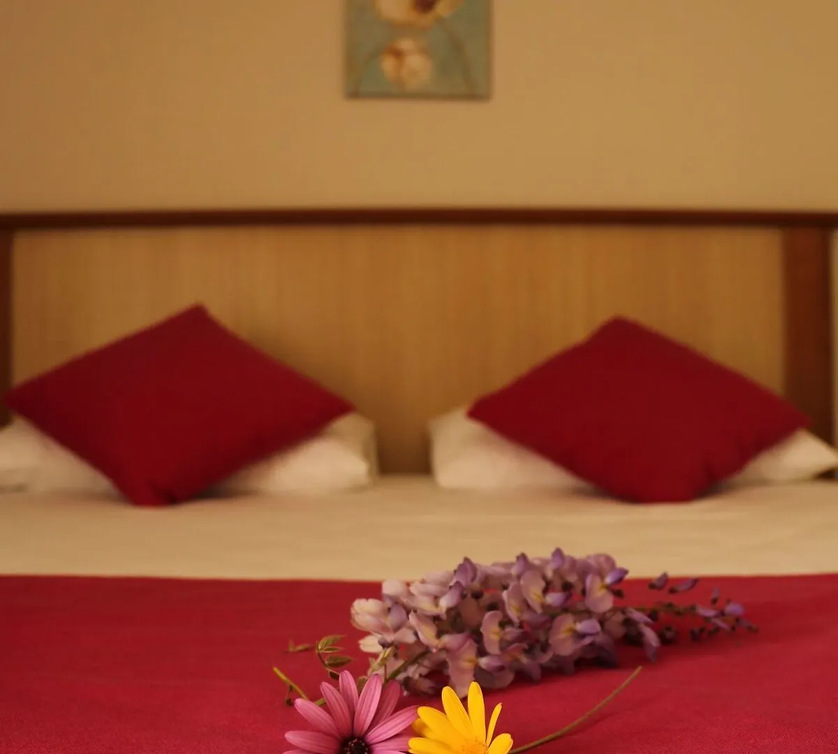 Cunda Sir Hotel Ayvalı